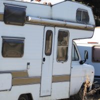 a-cat-on-the-roof-of-a-caravan_t20_Ywl2XX