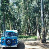 caravan-life-in-the-forest_t20_z9YExn