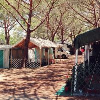 tent-camp_t20_QzXKem